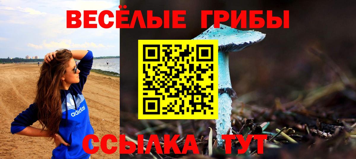 Новороссийск  магазин продажи   Вход с VPN  Галлюциногенные грибы GOLDEN TEACHER 